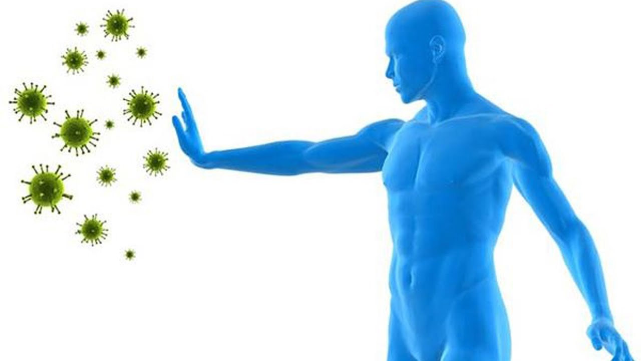 Memahami Peran Sistem Pertahanan Tubuh dalam Aktivitas Sehari-Hari